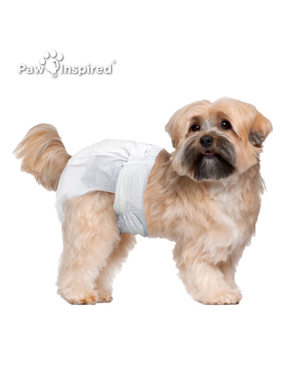 Paw Inspired SMALL Disposable Female Dog Diapers - 29 count - Picture 4 of 8